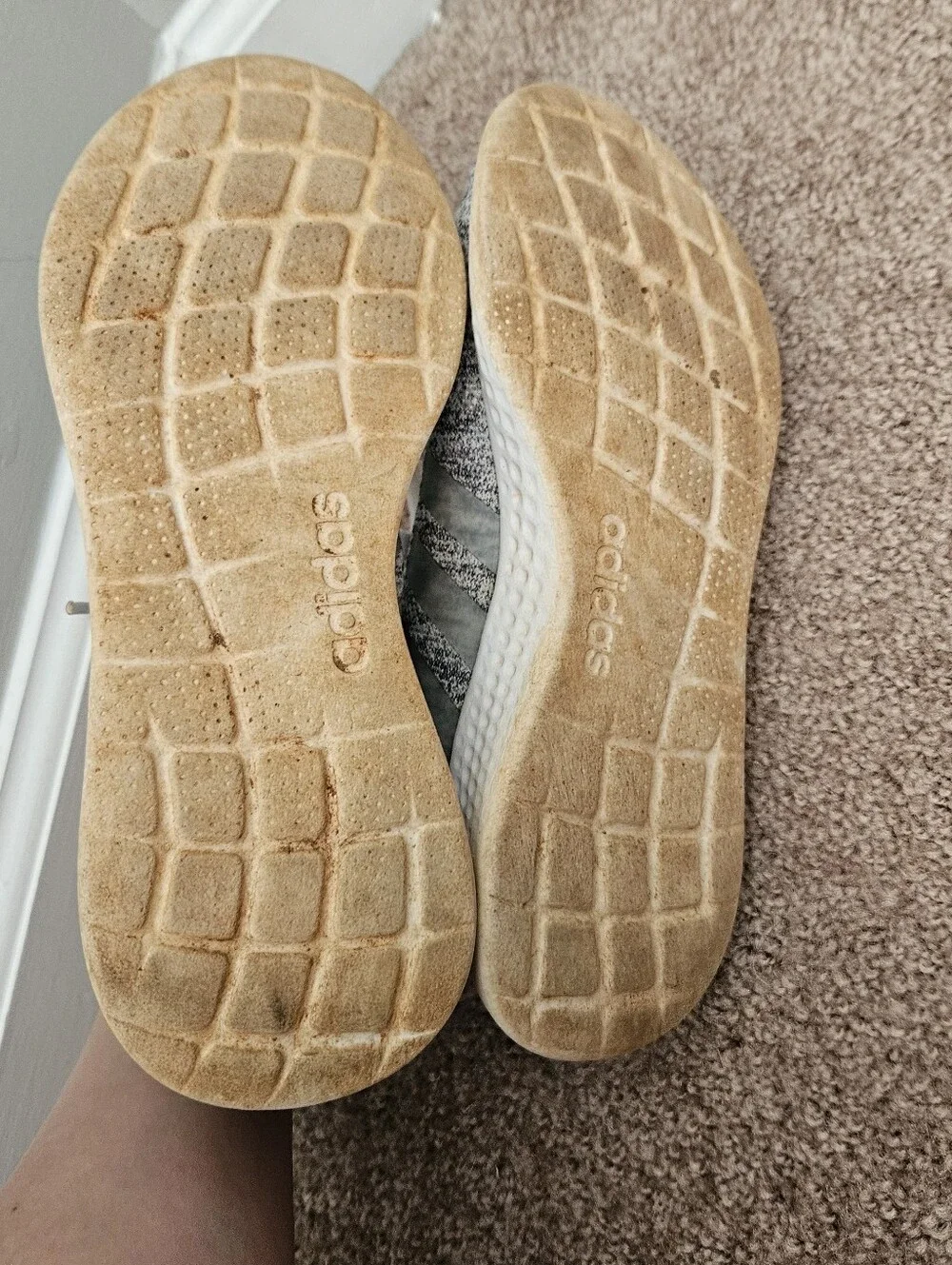 adidas fast shipping